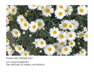 Fotomarathon 2 14